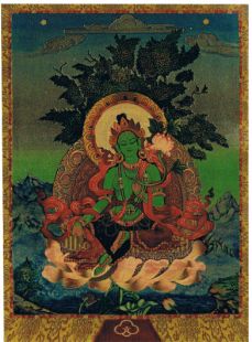 Green Tara Gold card 5x7＂