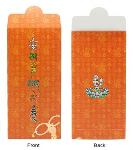 Mani money envelopes_orange